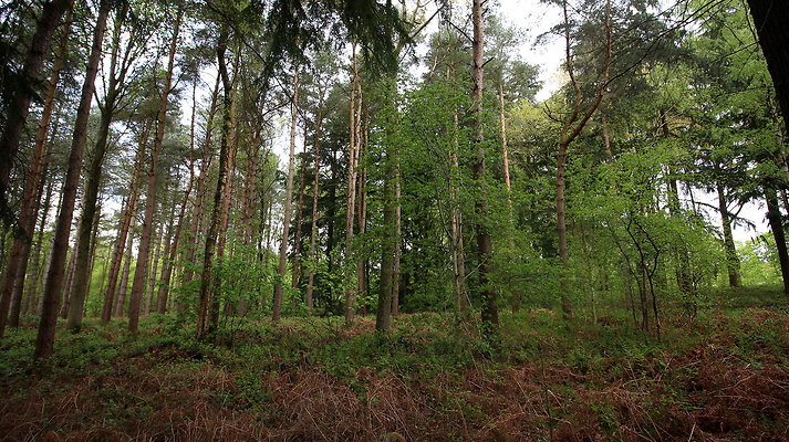 IMG 4736