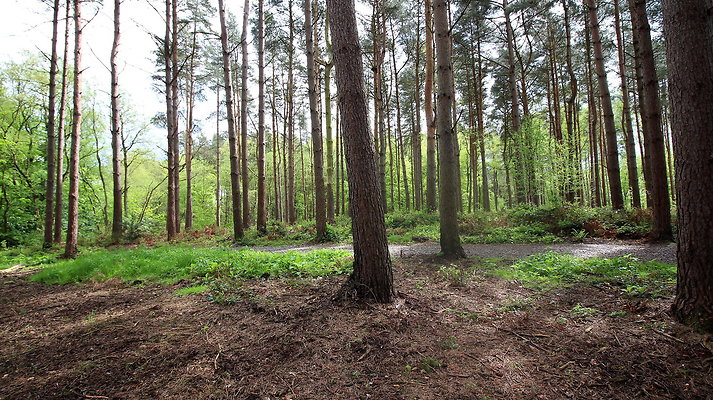 IMG 4748