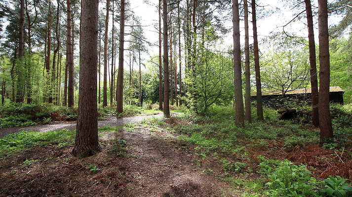 IMG 4749
