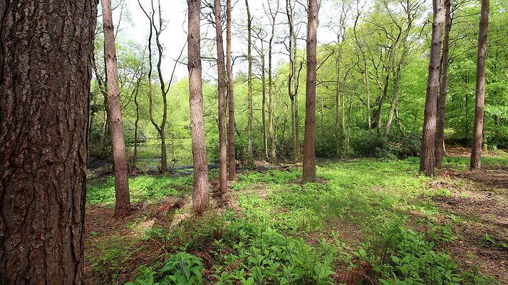 IMG 4746