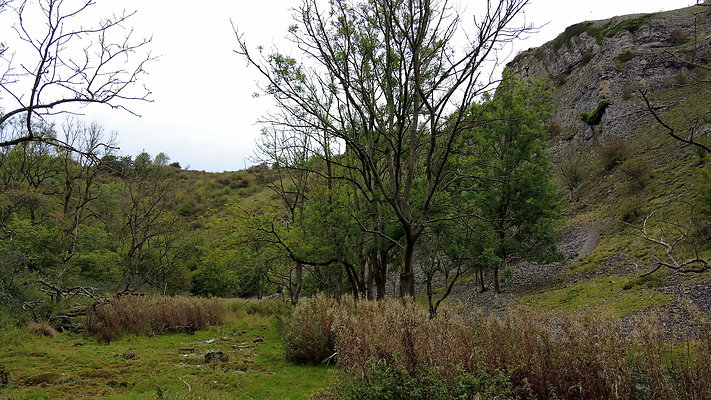 LathkillDale028 LathkillDale028