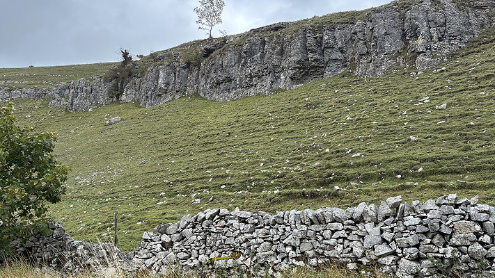 LongDale005 LongDale005