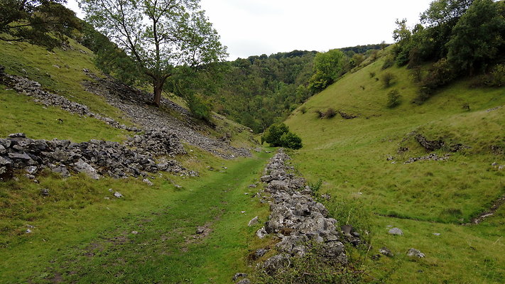 LathkillDale009 LathkillDale009