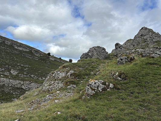 LittonDale009 LittonDale009