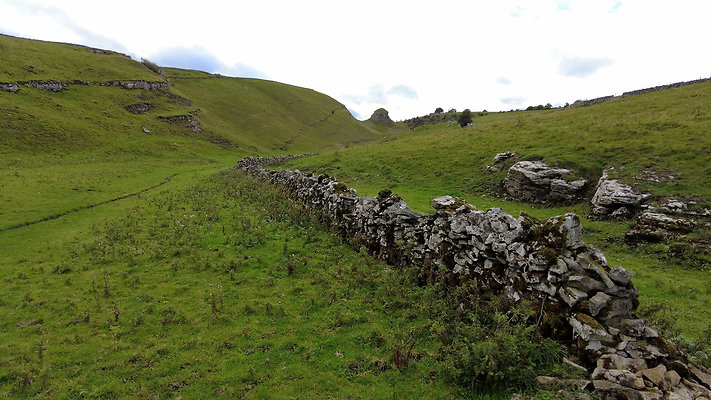 LittonDale025 - Type=N, Mode=P, DE=None LittonDale025 - Type=N, Mode=P, DE=None