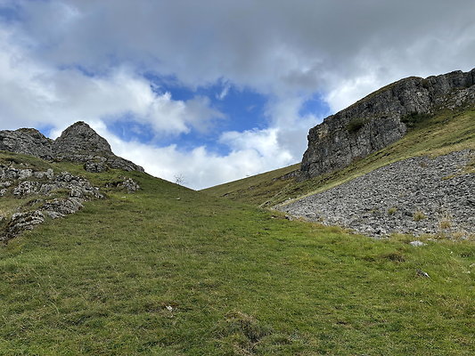 LittonDale008 LittonDale008