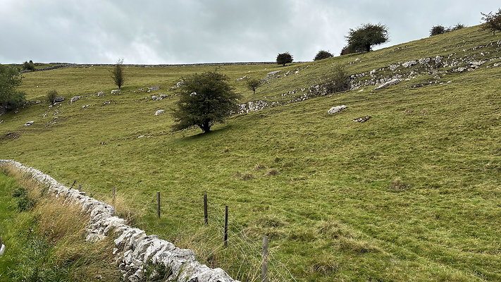 LongDale003 LongDale003