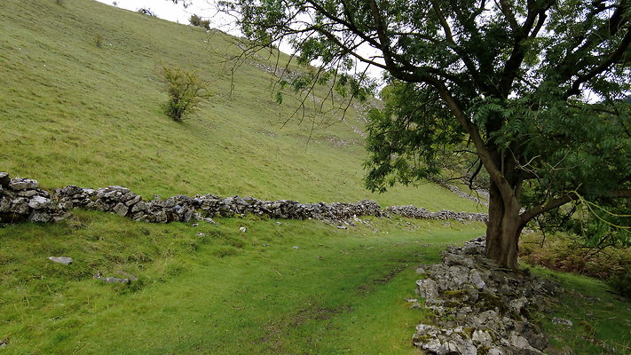 LathkillDale007 LathkillDale007