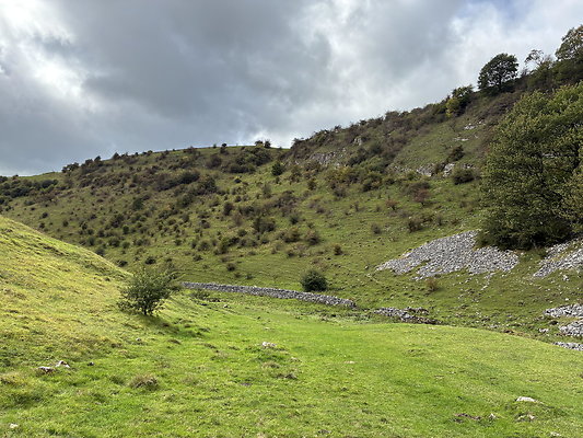 LittonDale007 LittonDale007