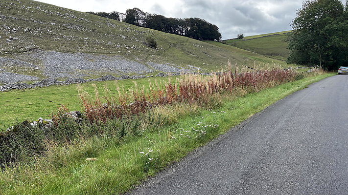 LongDale021 LongDale021