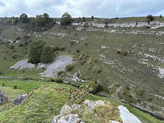 LittonDale014 LittonDale014