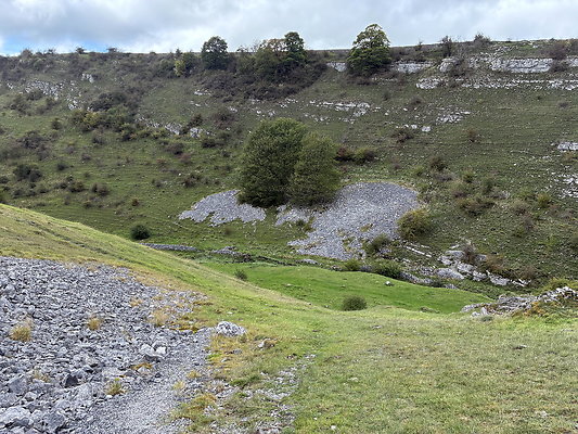 LittonDale010 LittonDale010