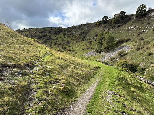 LittonDale002 LittonDale002