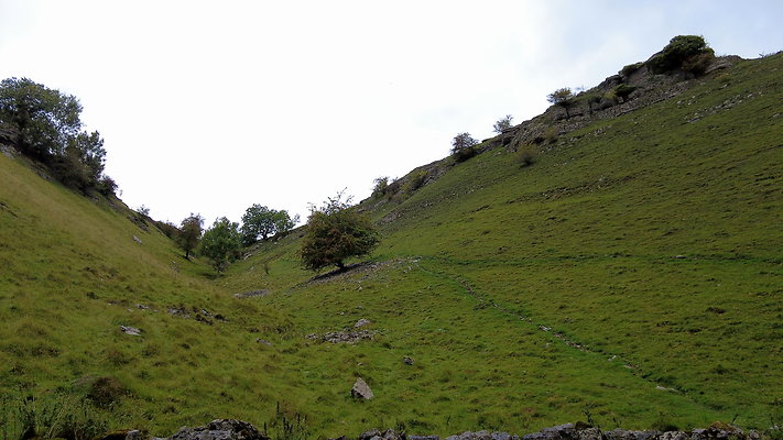 LathkillDale006 LathkillDale006