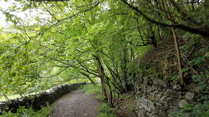 LathkillDale025 LathkillDale025