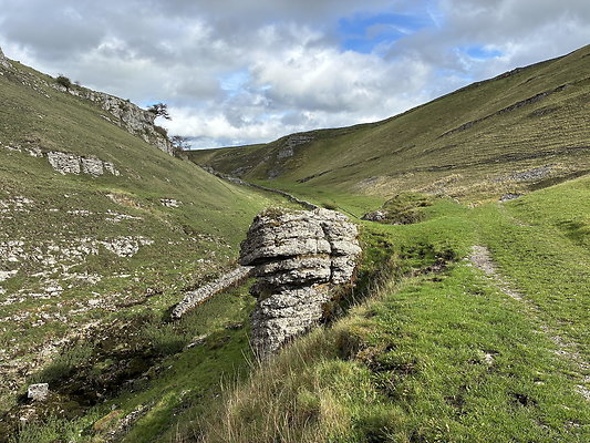 LittonDale003 LittonDale003