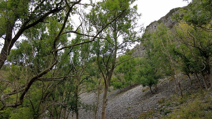 LathkillDale030 LathkillDale030