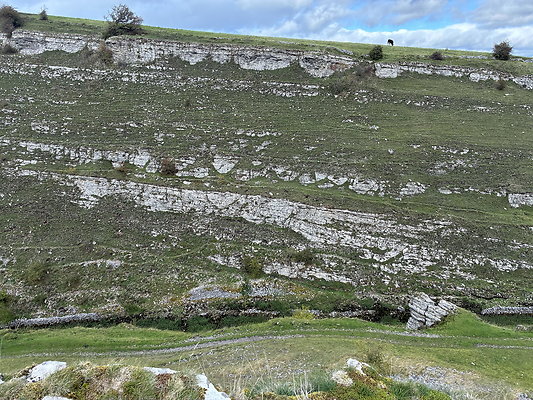 LittonDale013 LittonDale013