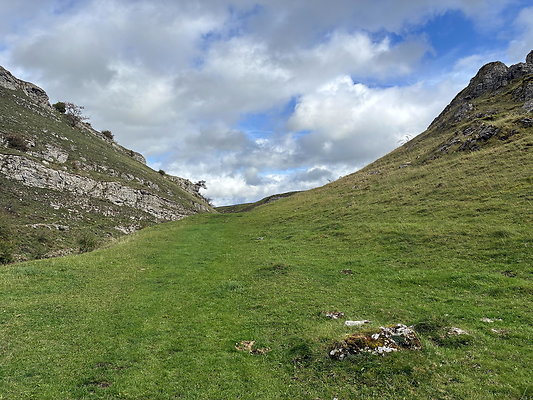 LittonDale006 LittonDale006