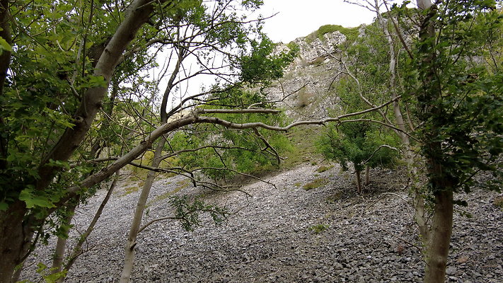 LathkillDale043 LathkillDale043