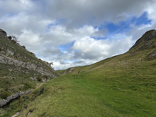 LittonDale005 LittonDale005