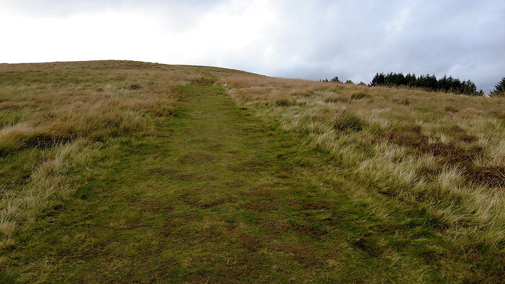 DentFell026 DentFell026