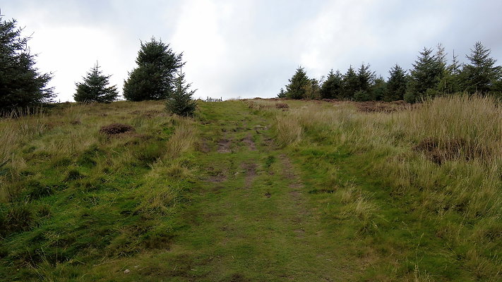 DentFell033 DentFell033