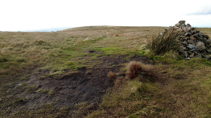 DentFell017 DentFell017