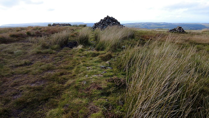 DentFell010 DentFell010