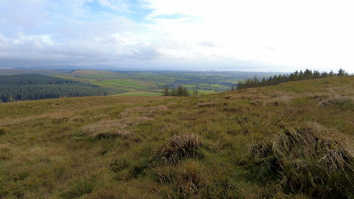 DentFell019 DentFell019