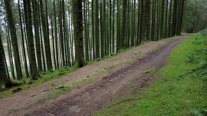 DentFell041 DentFell041