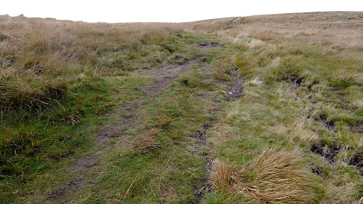 DentFell023 DentFell023