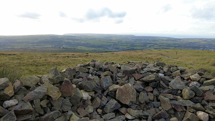 DentFell006 DentFell006