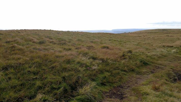 DentFell015 DentFell015