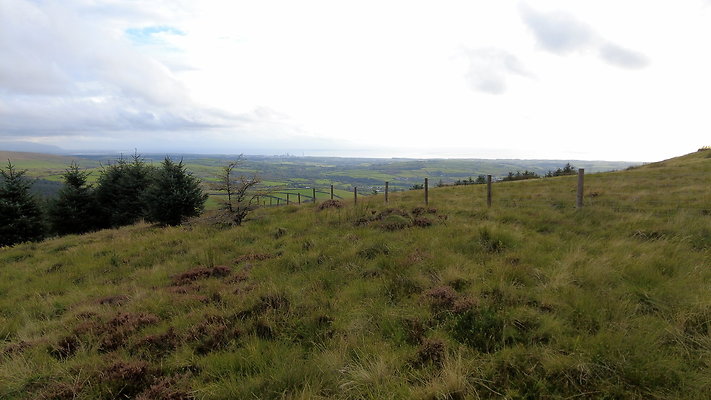 DentFell029 DentFell029