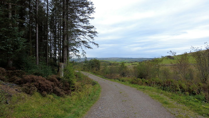 DentFell061 DentFell061