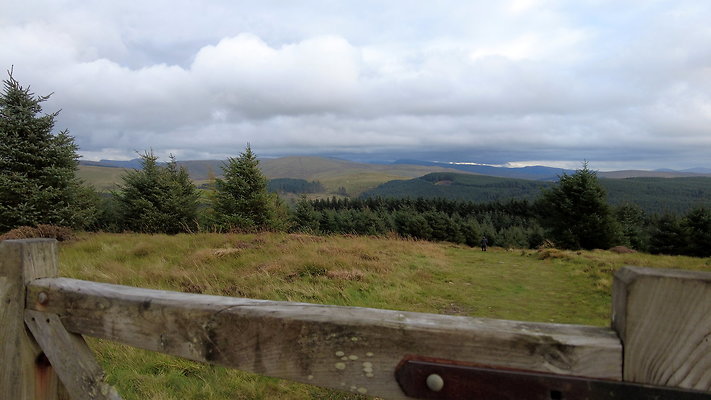 DentFell027 DentFell027