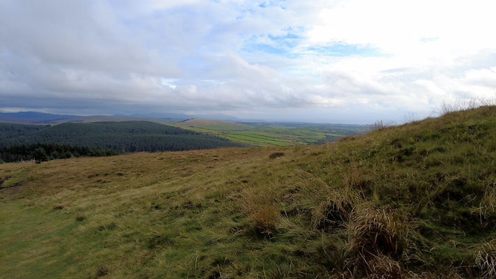 DentFell021 DentFell021