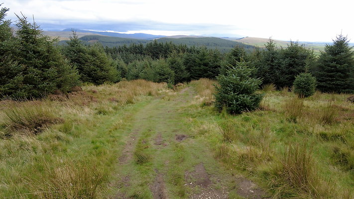 DentFell032 DentFell032