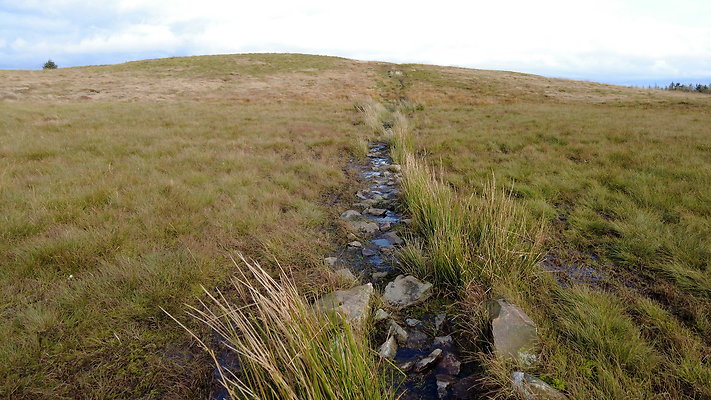 DentFell014 DentFell014