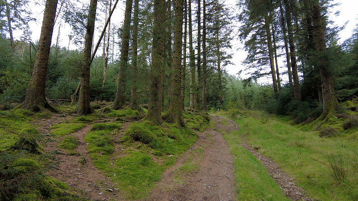 DentFell054 DentFell054