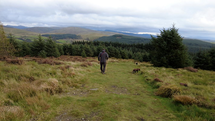 DentFell030 DentFell030