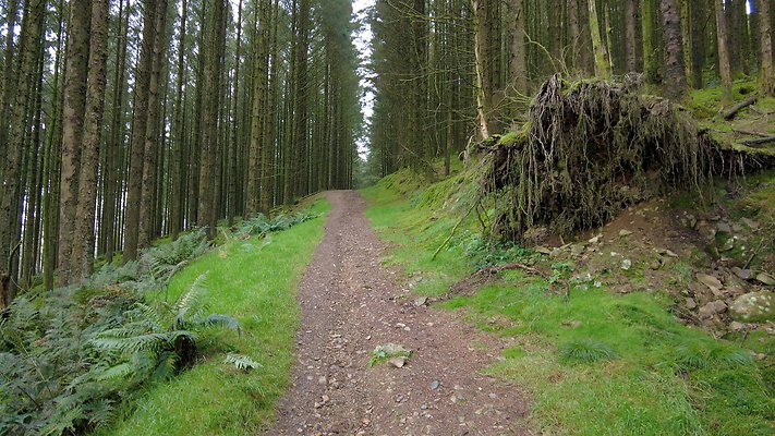 DentFell045 DentFell045