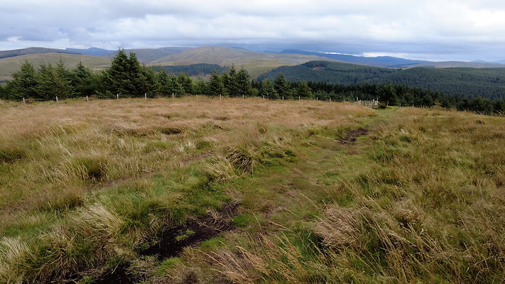 DentFell024 DentFell024