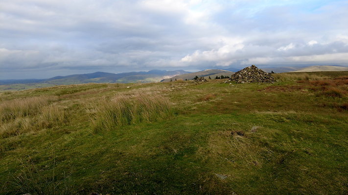 DentFell005 DentFell005