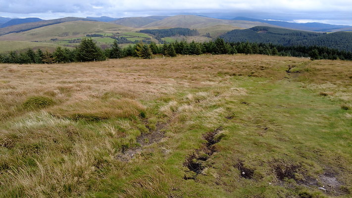 DentFell022 DentFell022