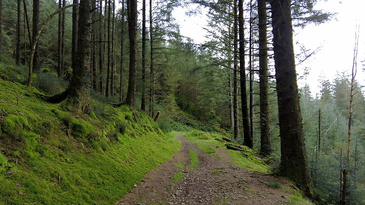 DentFell046 DentFell046