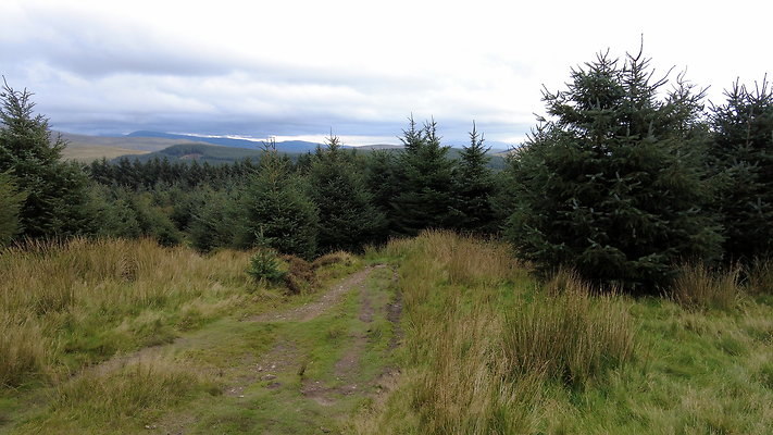 DentFell034 DentFell034