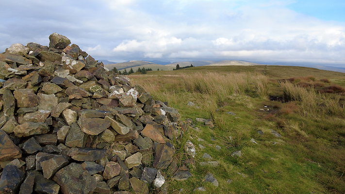 DentFell008 DentFell008