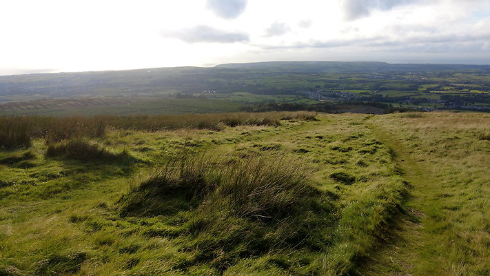 DentFell004 DentFell004